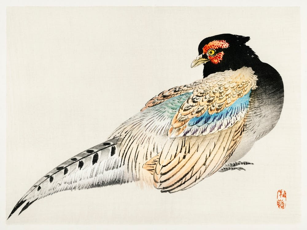 Peregrine Falcon, Kōno Bairei