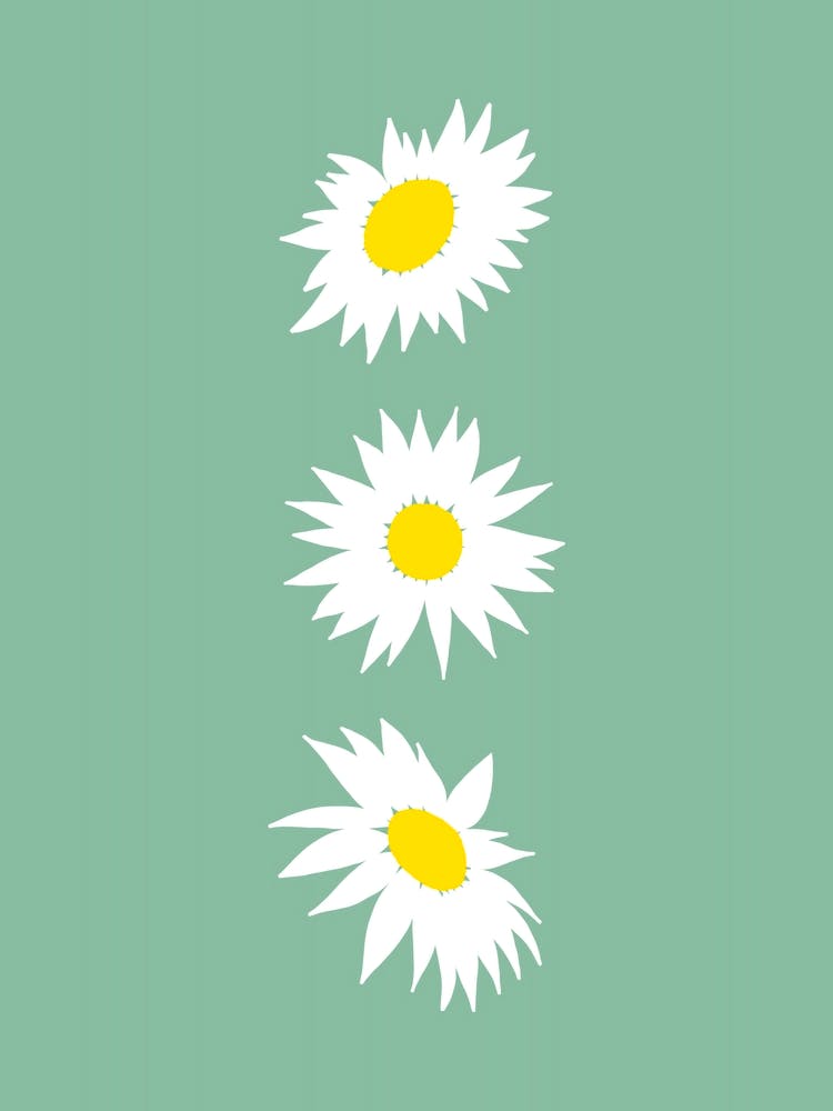 Daisy Line on Sage Green