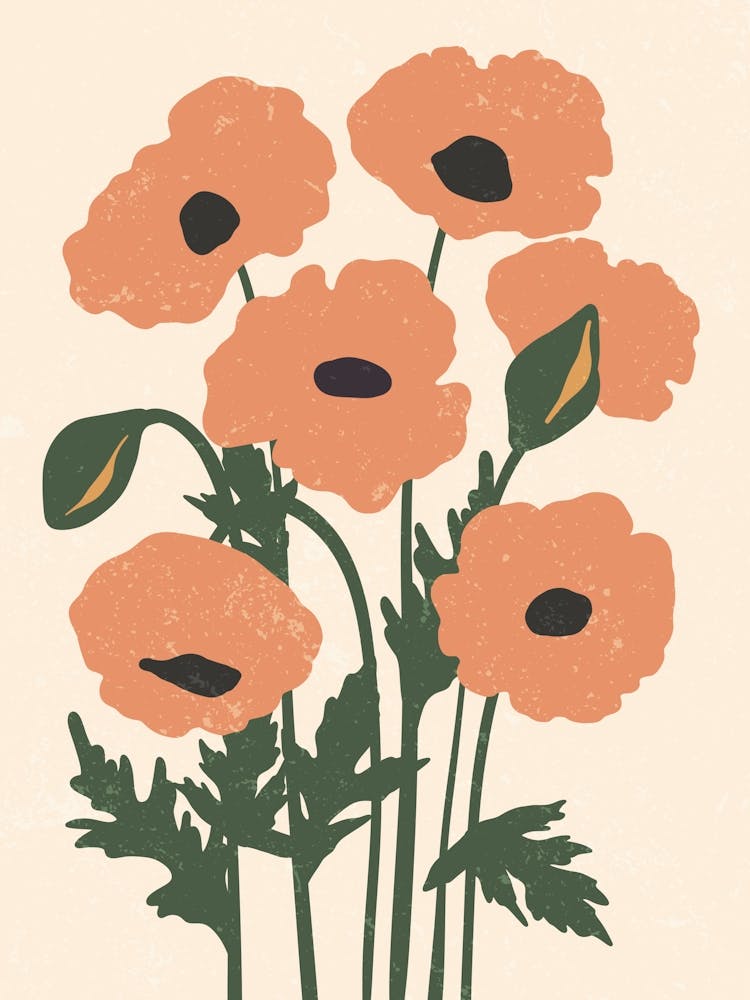 Poppies 10