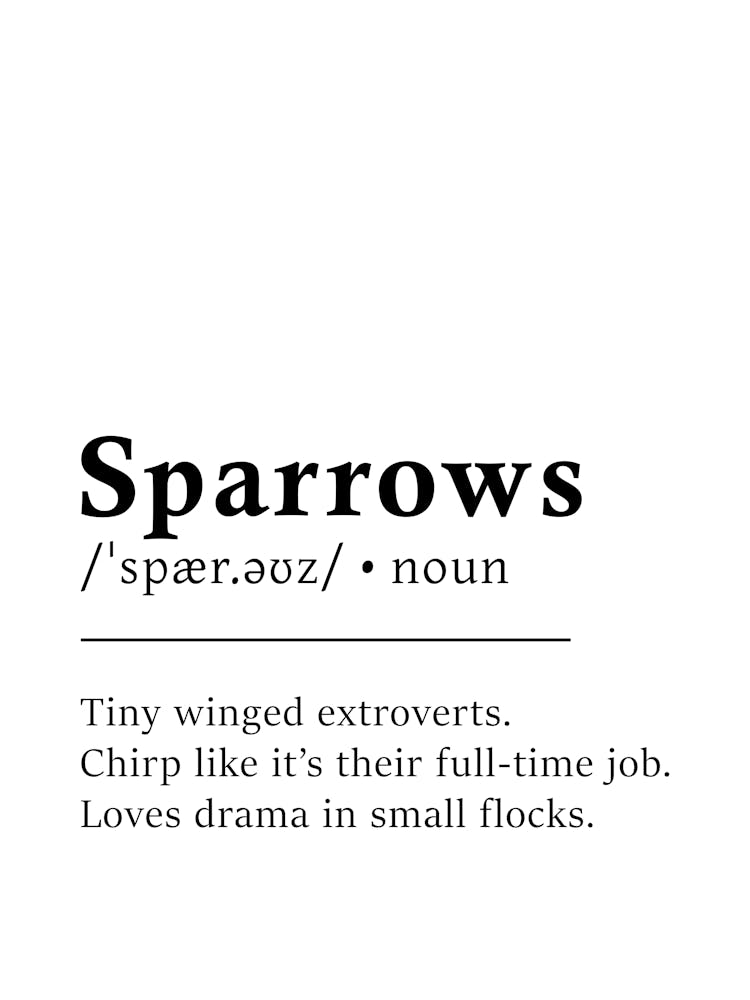 Spatzen Definitions-Poster - Wörterbuch
