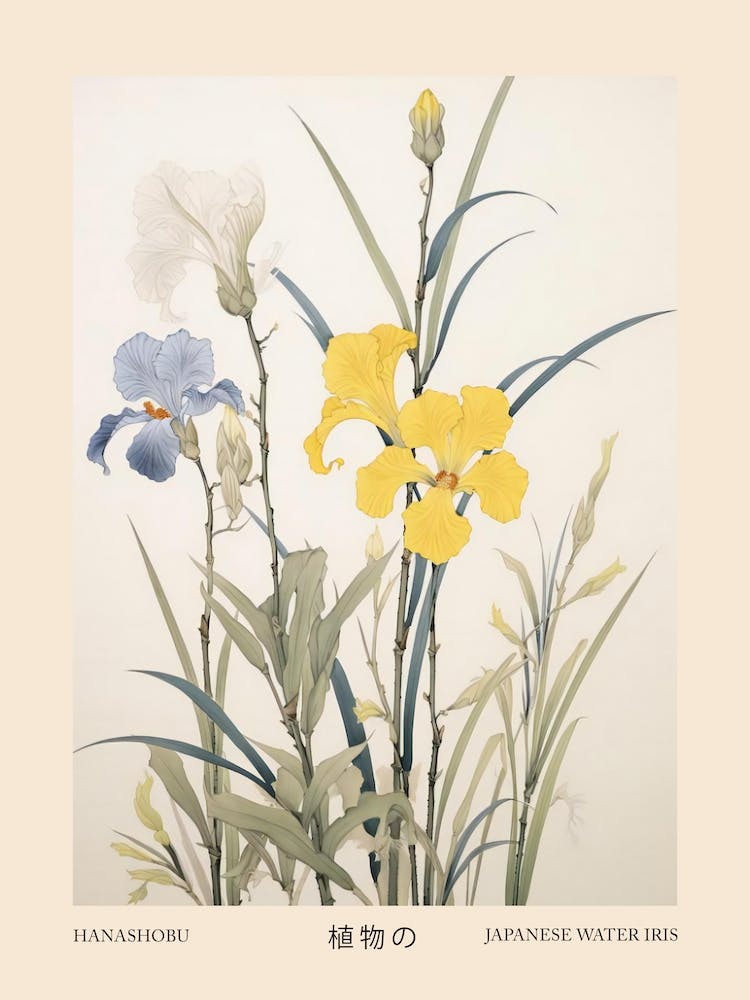 Hanashobu Japanese Water Iris 1 Vintage Japanese Botanical Poster
