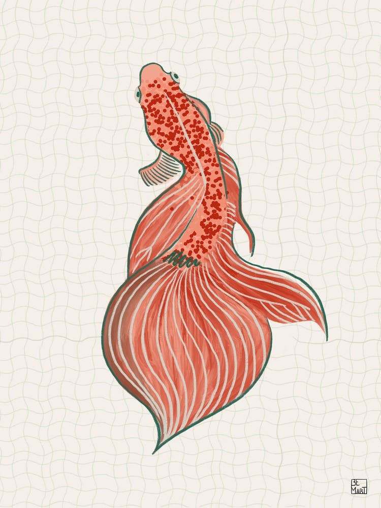 Goldfish With Orange Tones