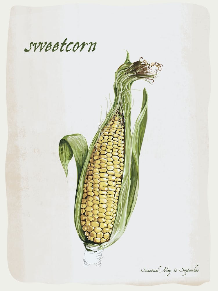 Sweetcorn Vintage illustration Print