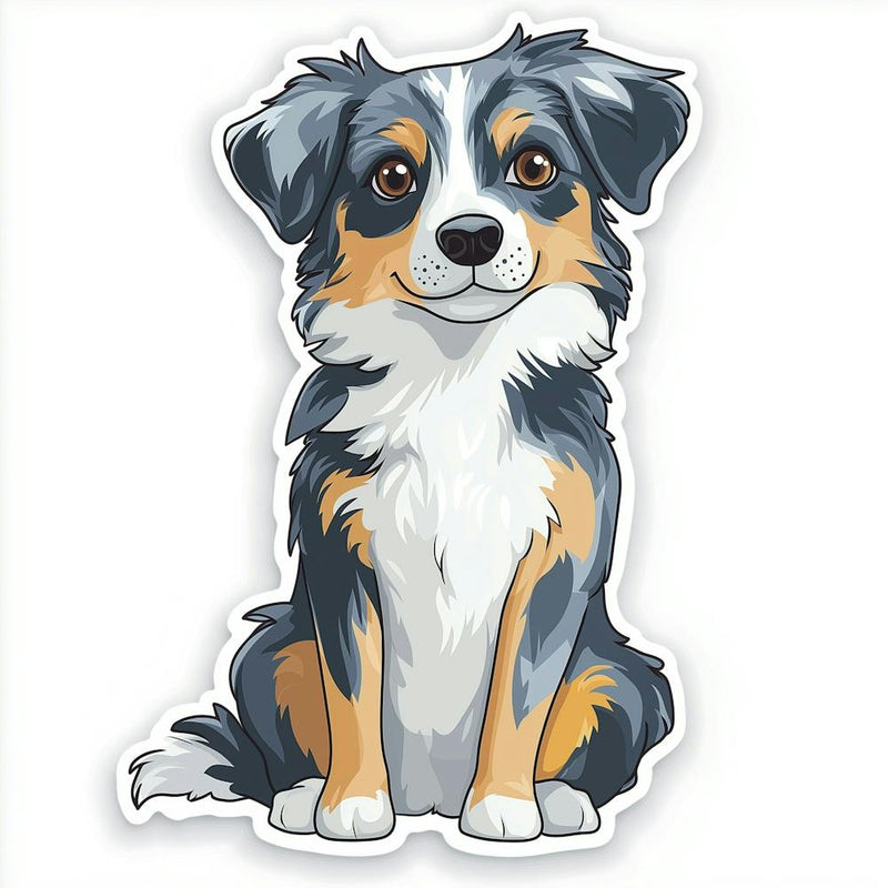 A Cute Blue Merle Miniature American Shepherd