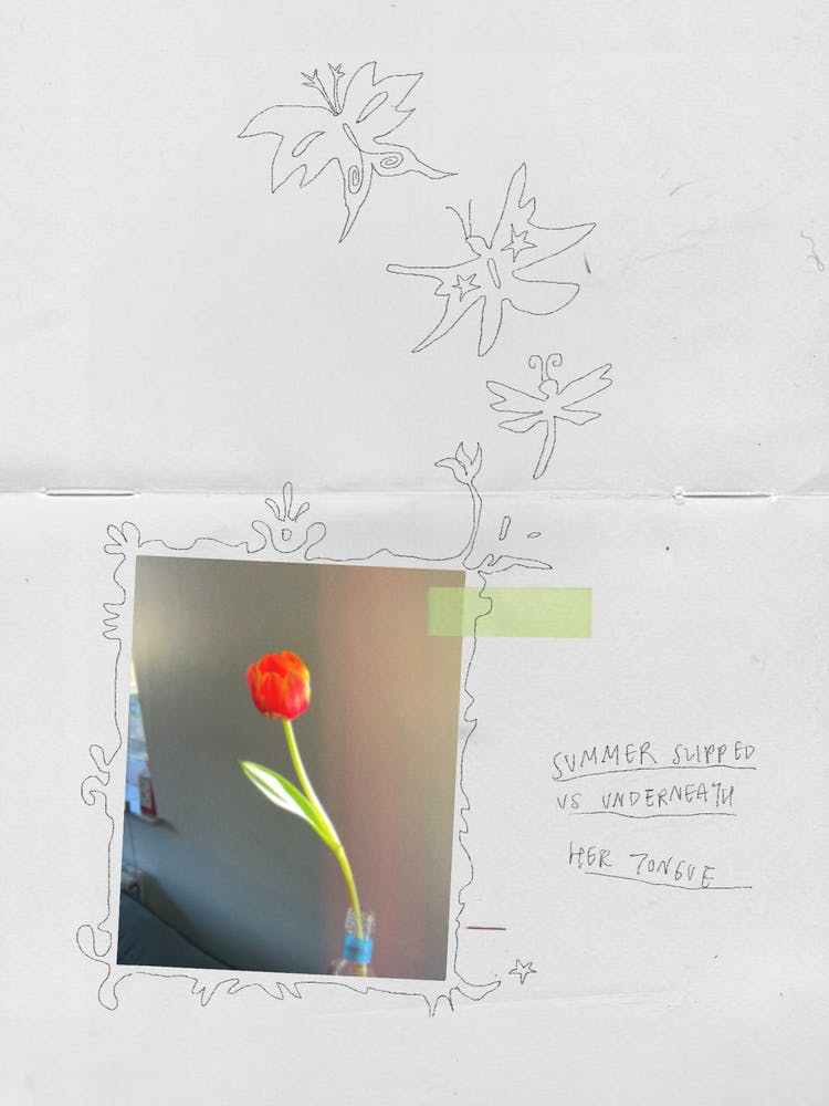 Tulip 1