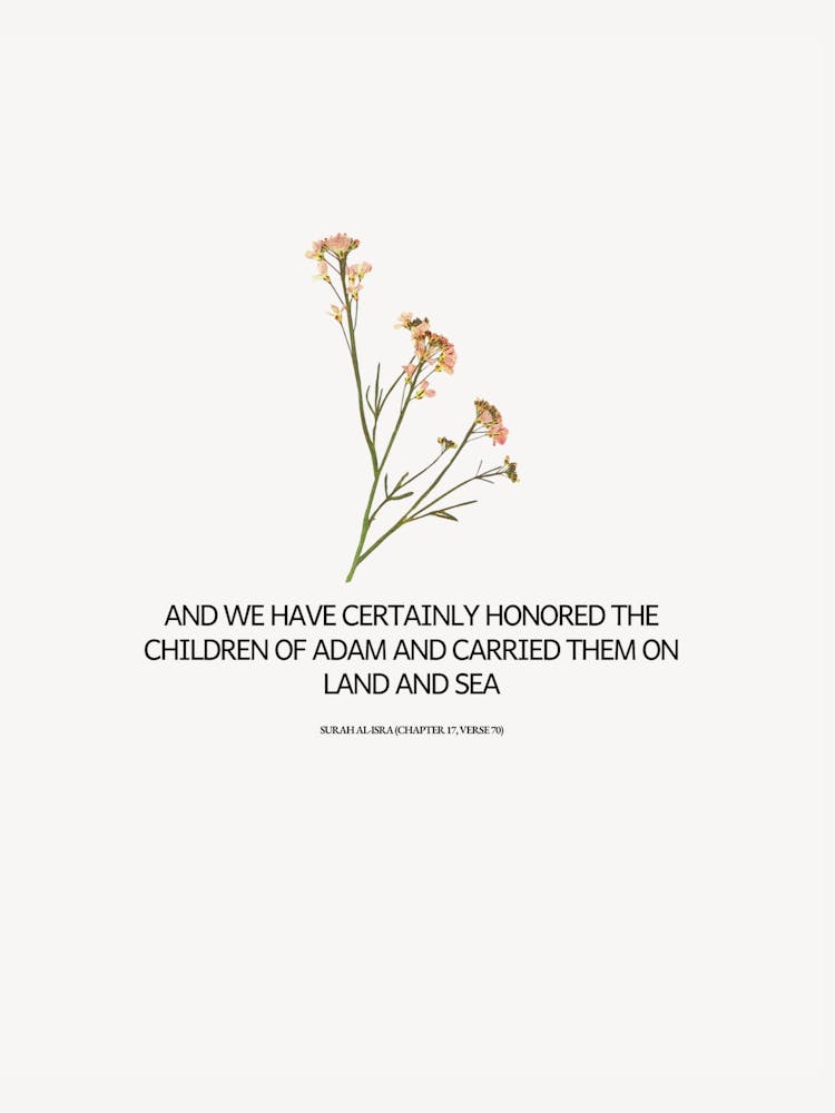 And We Have Definitely Held The Children Of Adam And Carried Them