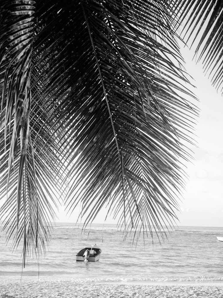 Barbados Black And White Beach Scene, Barbados photography