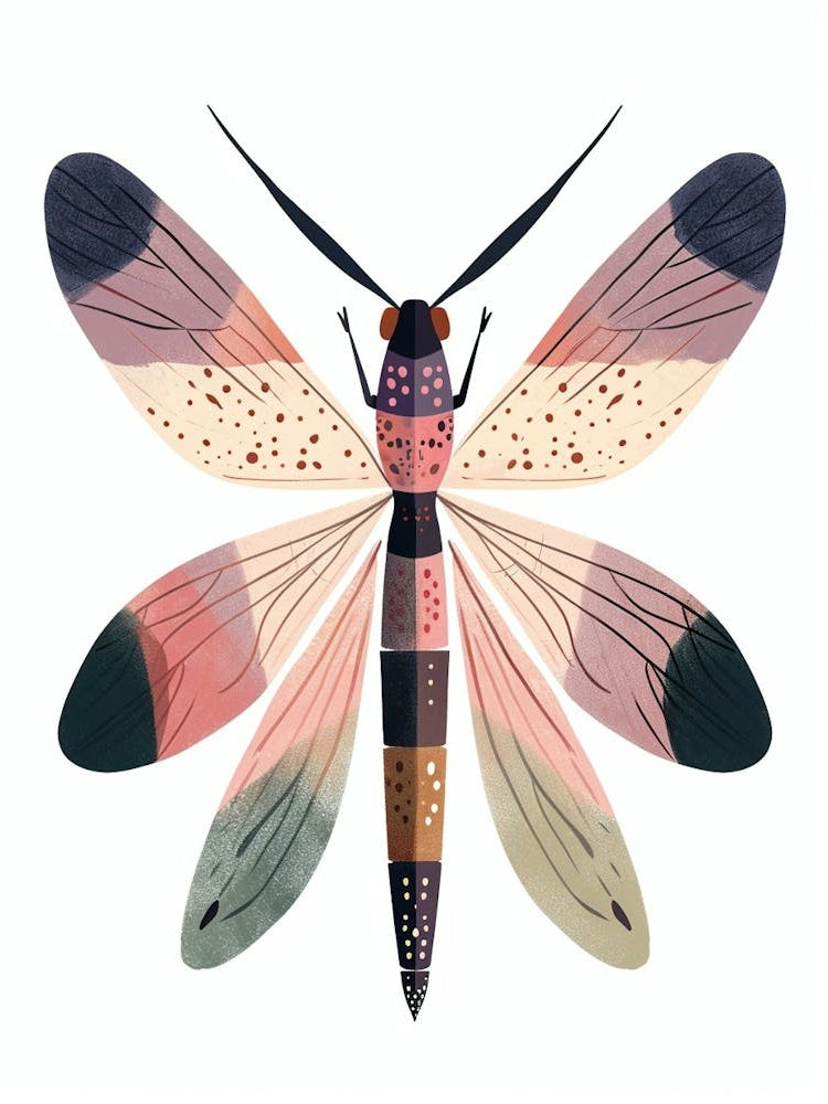 Colourful Insect Illustration Firefly 13