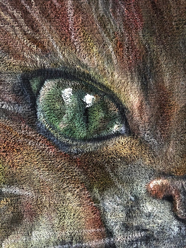 Velvet cat, oil velvet