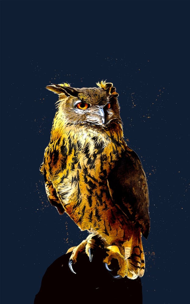 The Eagle Owl