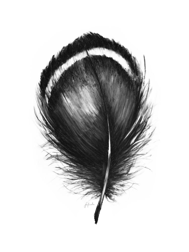 Bold Feather III, Aga Szafranska