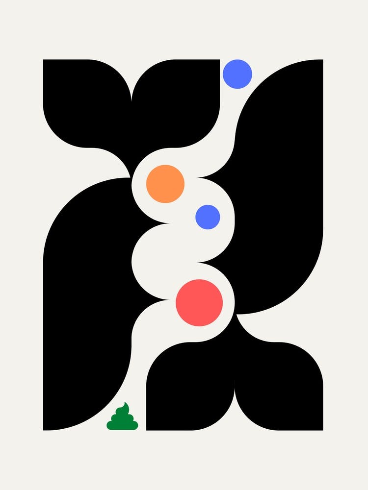 Geometrical Digestive System