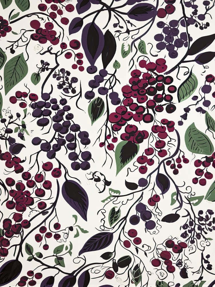 Boysenberry Fruit Drawing 4