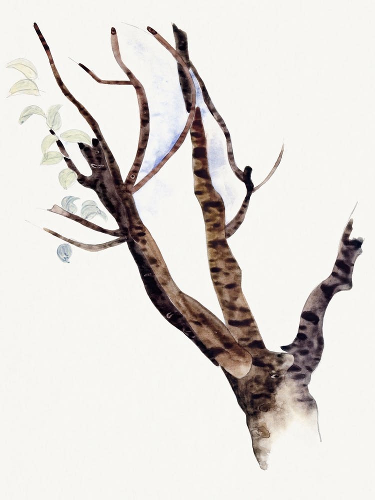 Sketchbook, Charles Demuth