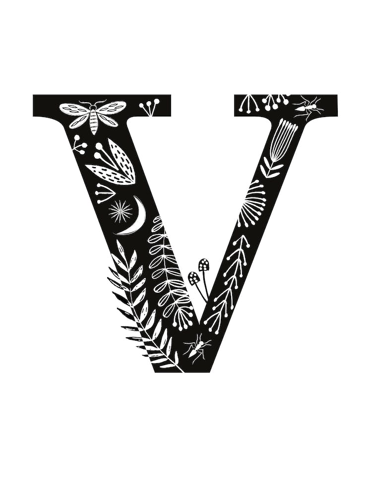 Letter V