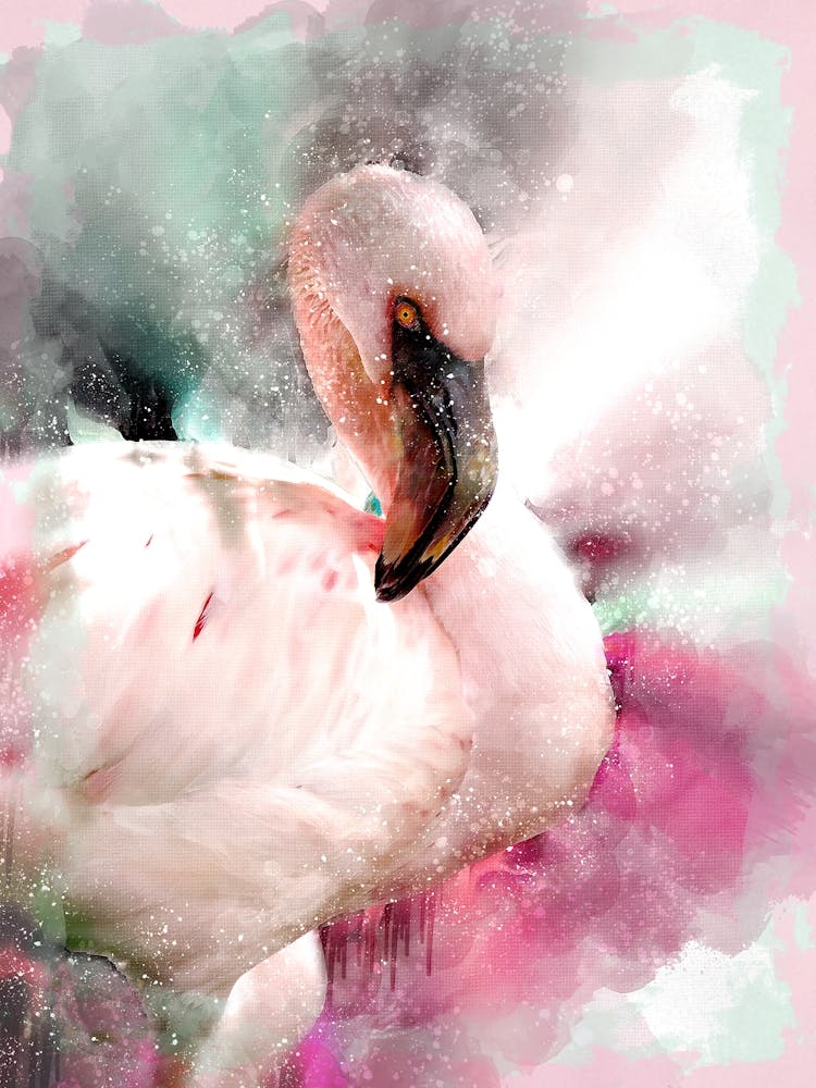 Pink Flamingo