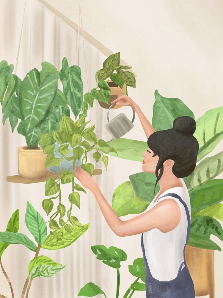 This is a place where i feel at home