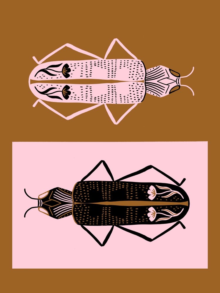 Gemini Beetles