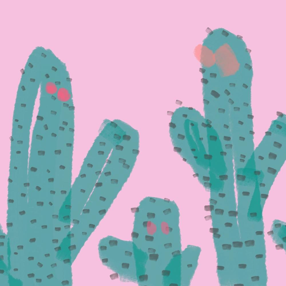 Pink Cactus