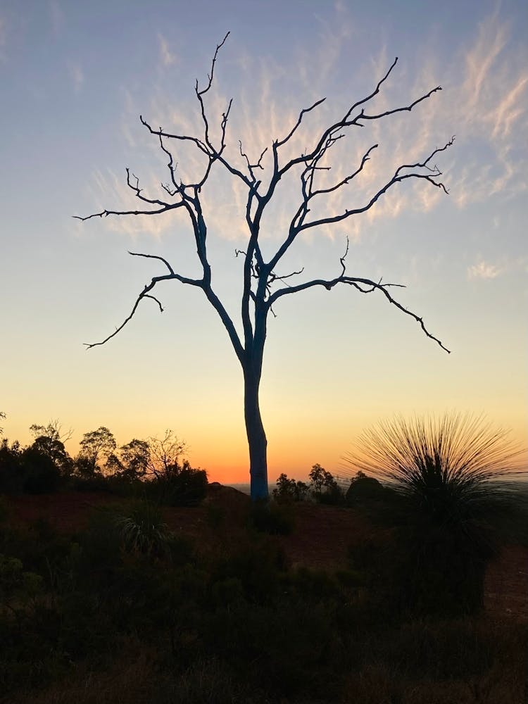 Perth Sky