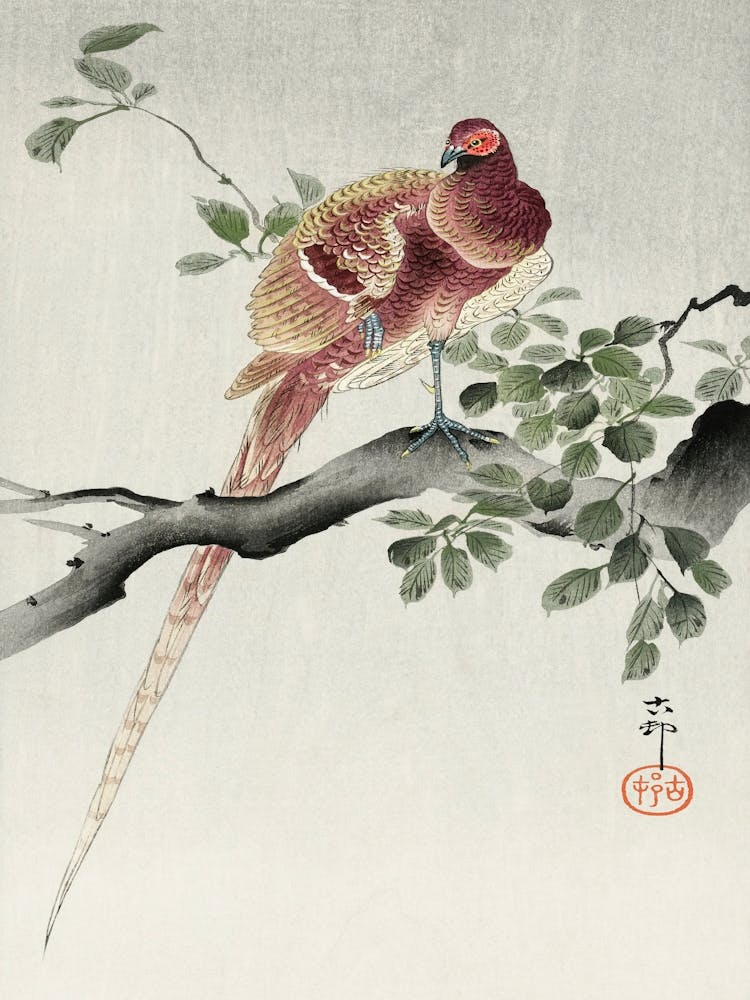 Copper Pheasant (1900 1930), Ohara Koson