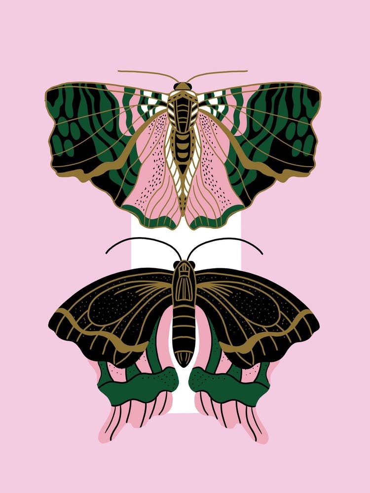 Art Deco Moths 12x16