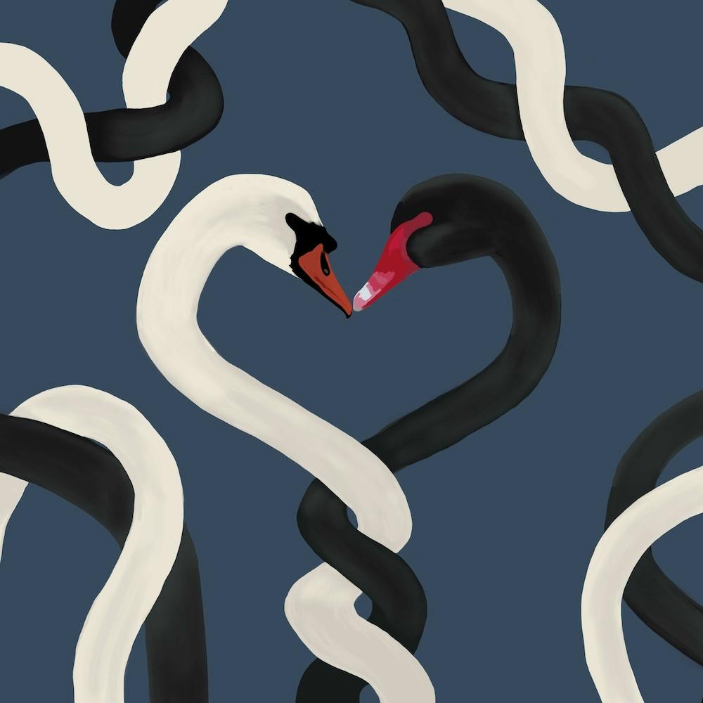 Swan Together Square