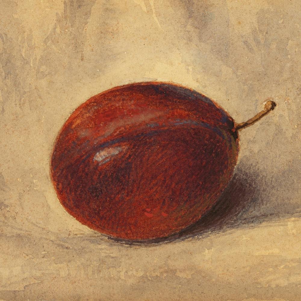 Plum Still Life Fruit Painting Rustic Farmhouse