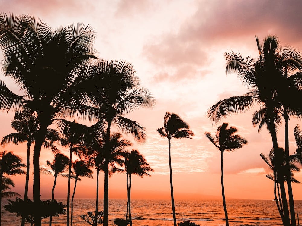 Warm Summer Sunset