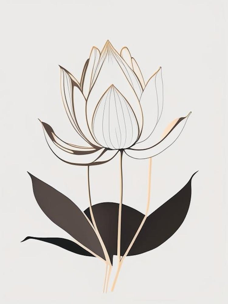 Fleurs de Lotus dans le Parc Rétro Minimal 3