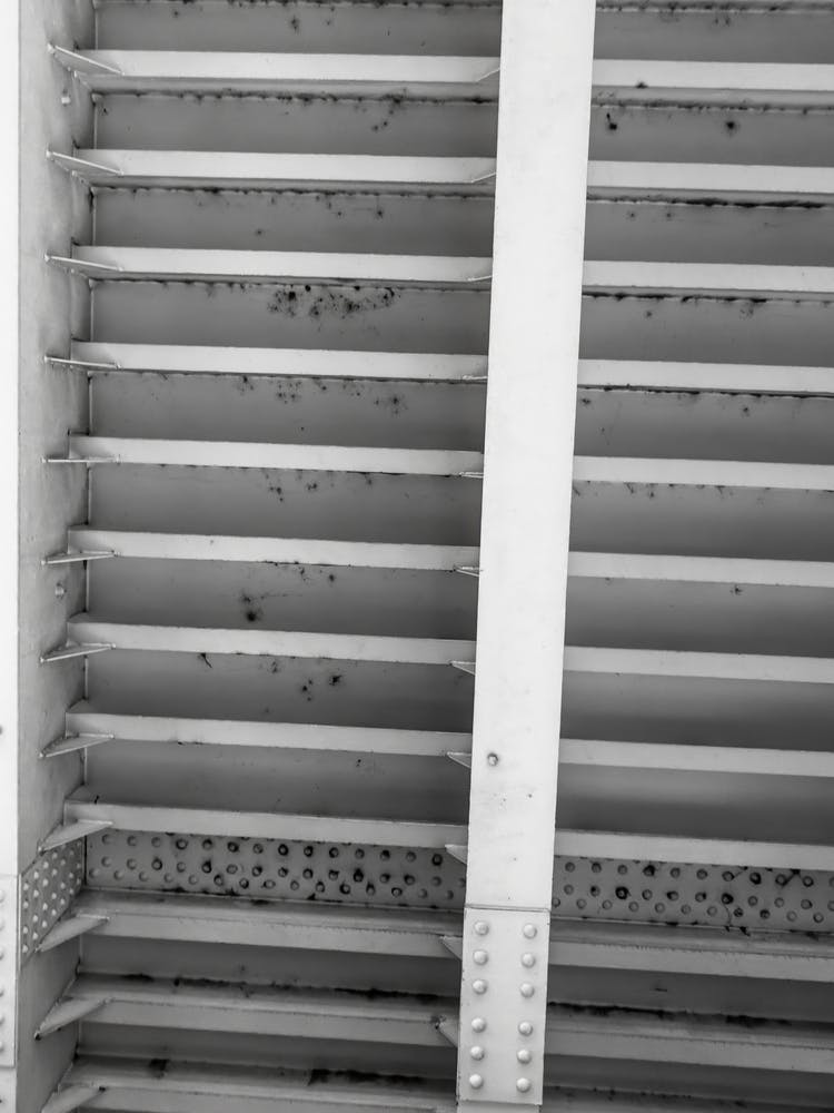 Lines Of Iron Black And White Image Of A Bridge