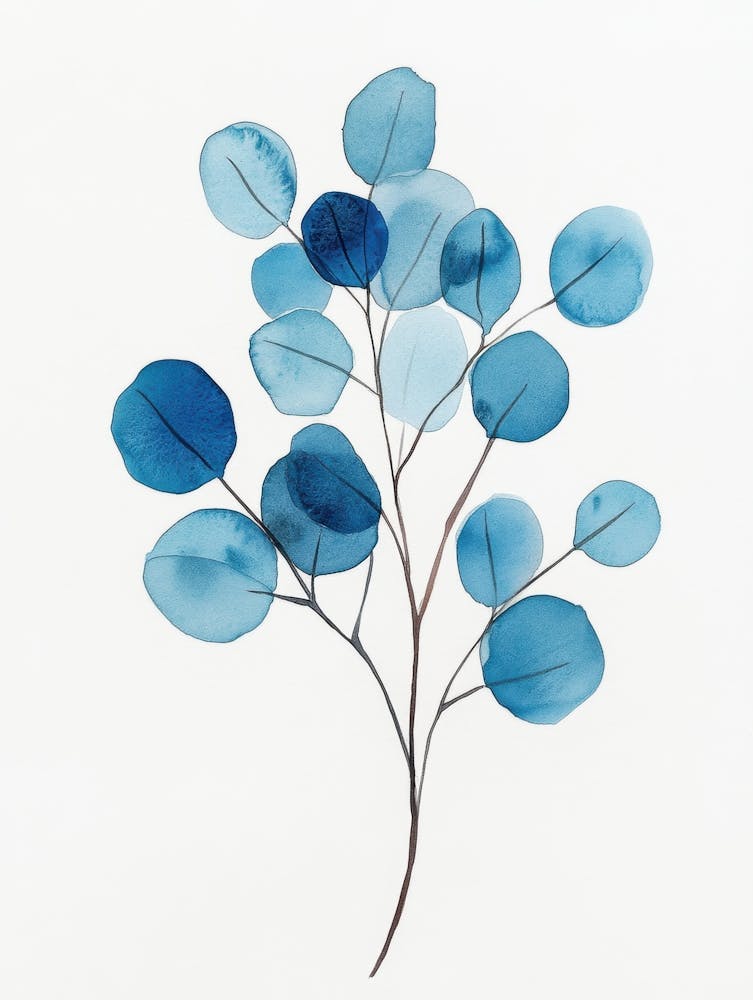 Blue Eucalyptus 5