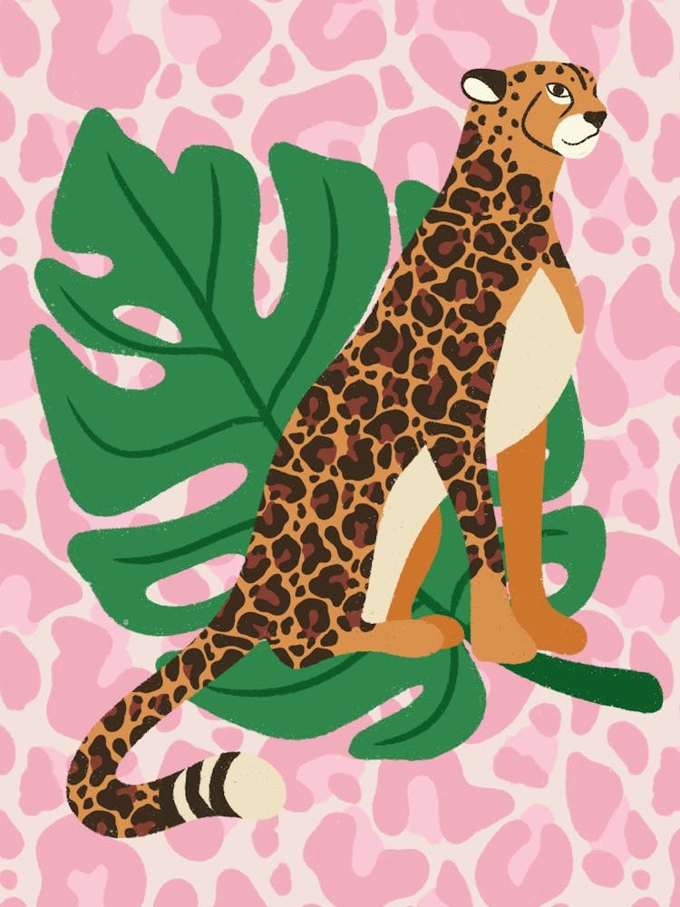 Pink Leopard