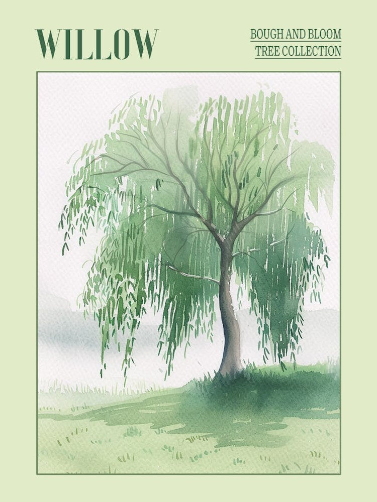 Willow Tree Atmospheric Watercolour Painting 8 Poster