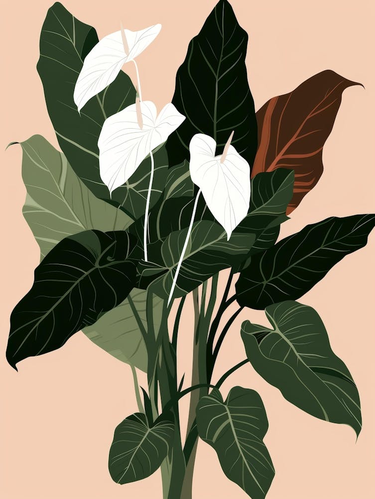 Hibiscus 26