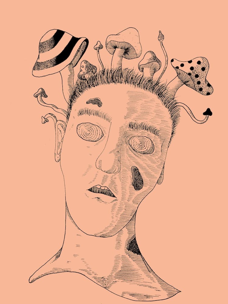 Tête de Champignon