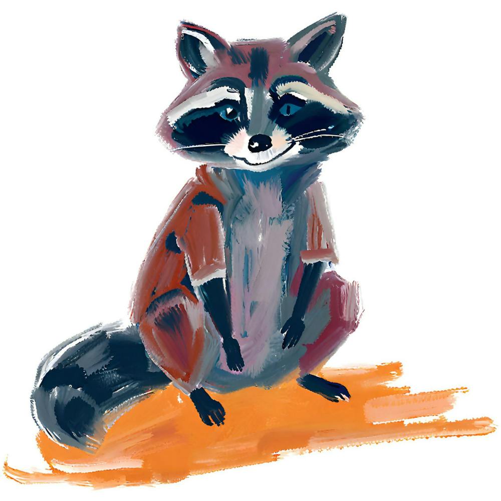 Raccoon 08