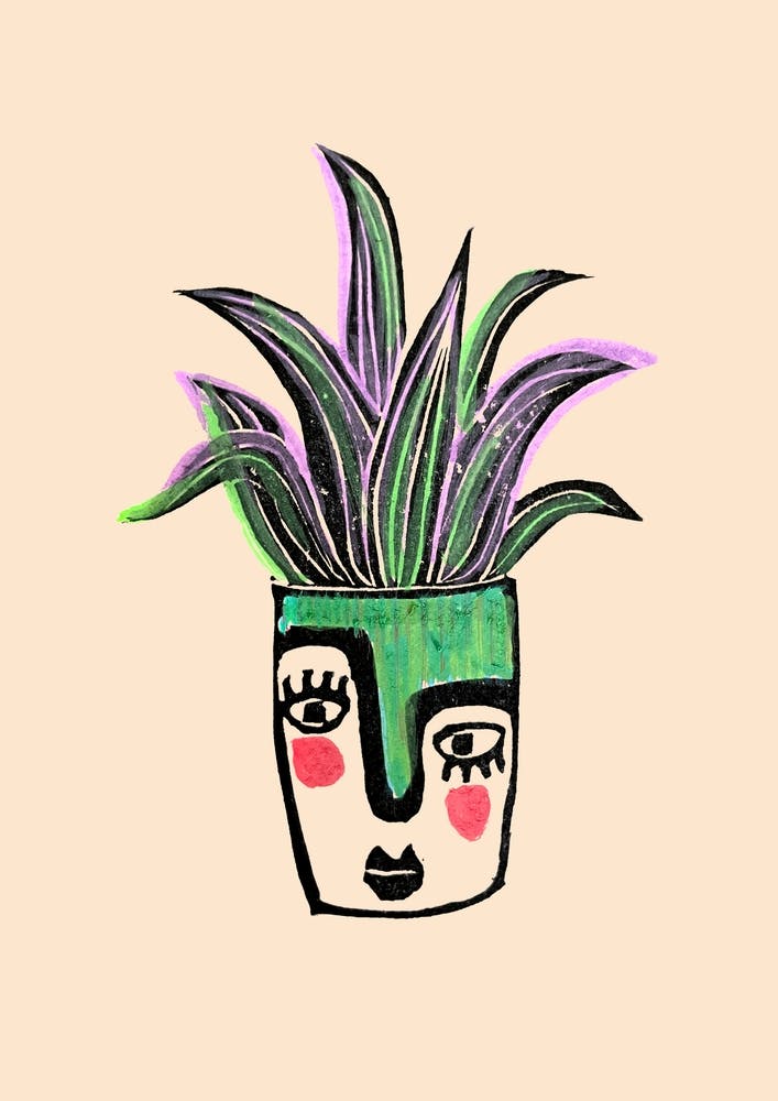 Oyster Plant In Painted Face Pot