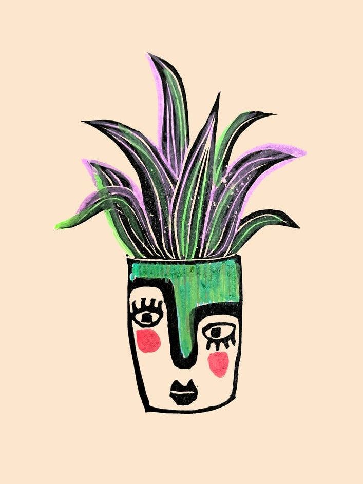 Oyster Plant In Painted Face Pot