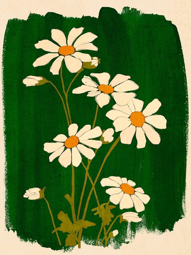 Daisy Flowers 5
