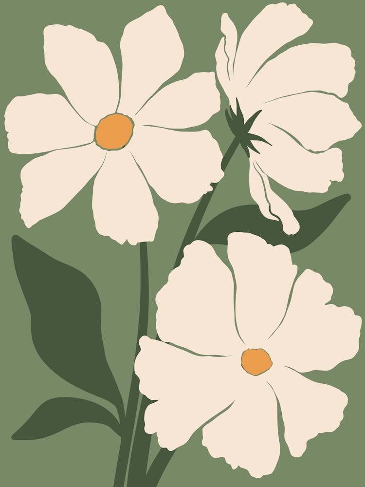 White Daisies 3