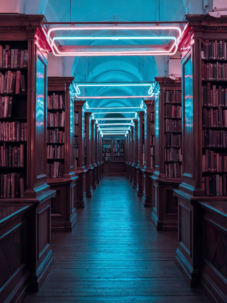 Library At Night, Neon