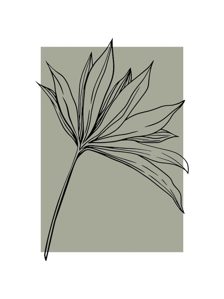 Sage Green Botanical Leaf