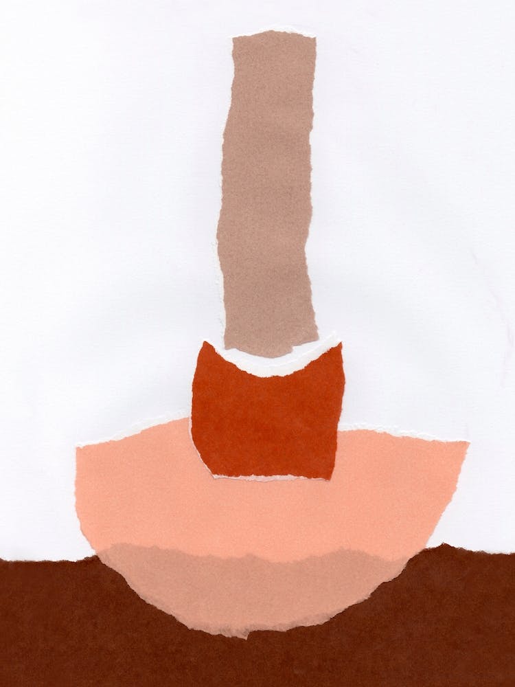 Colores V