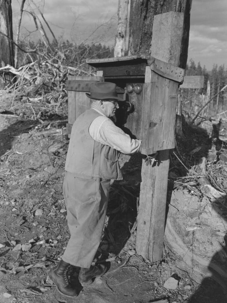 Superintendent Of Logging Operation Telephones,A Network Of Telephone Wires Connects Different Places Of