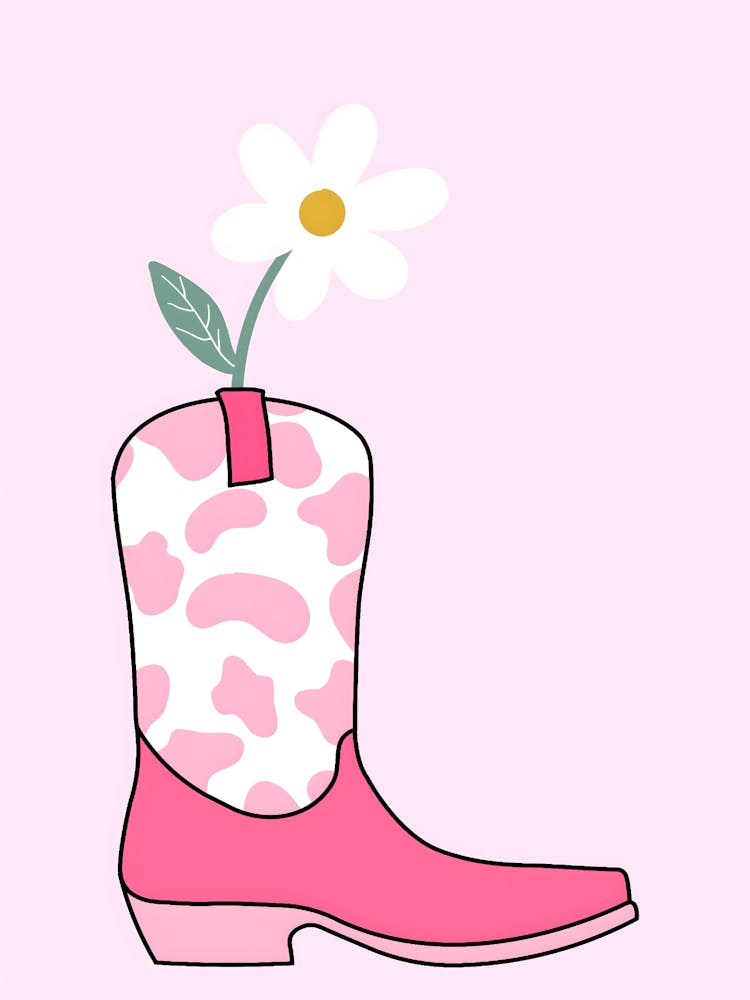 Cowboy Boots 10