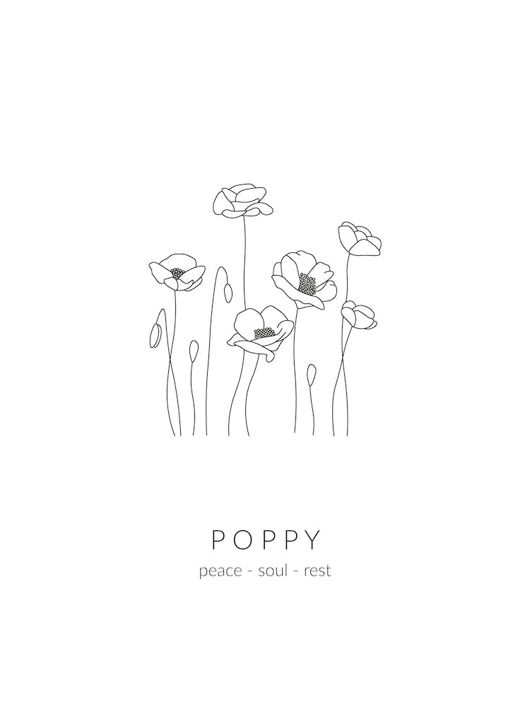 Poppy Birth Flower