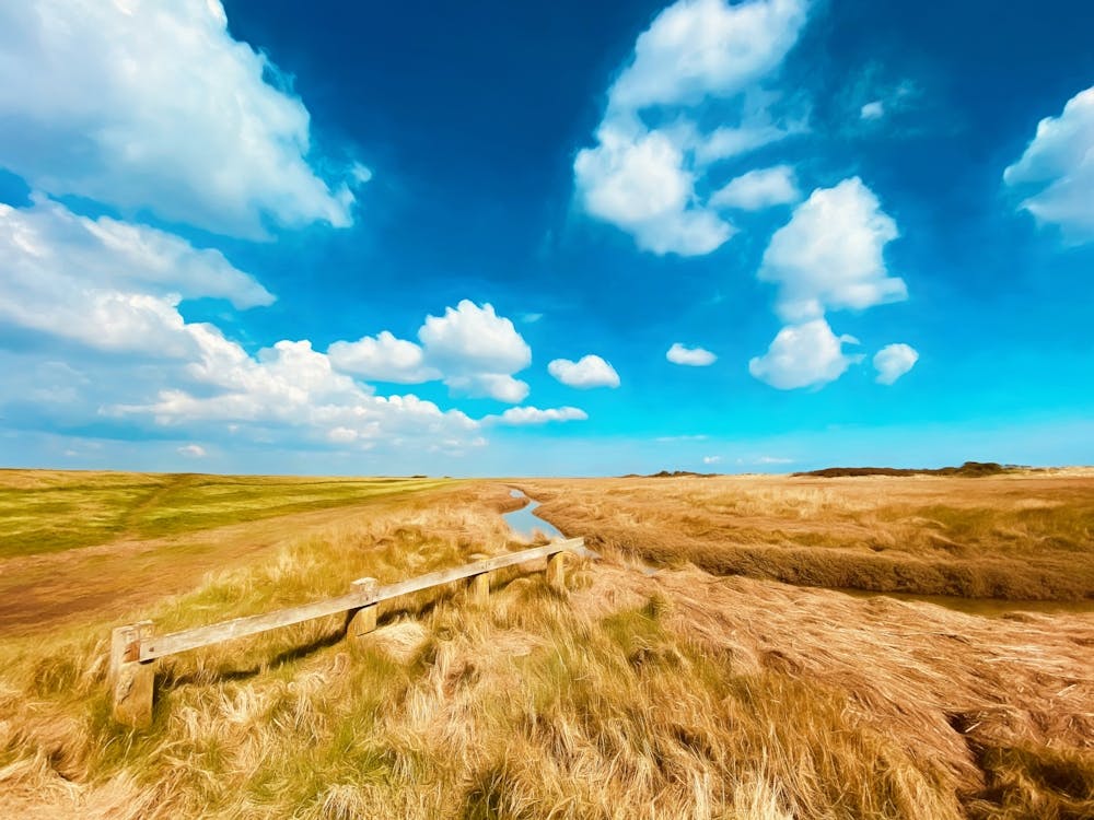 Inland Creek Grassland Landscape