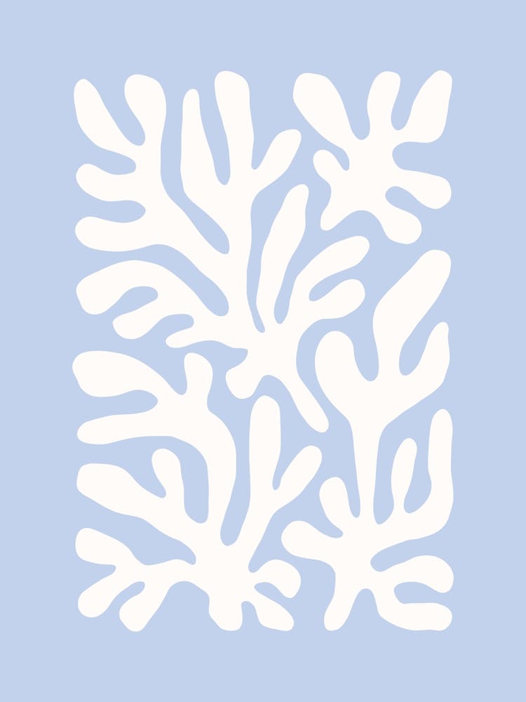 Coastal Coral Blue