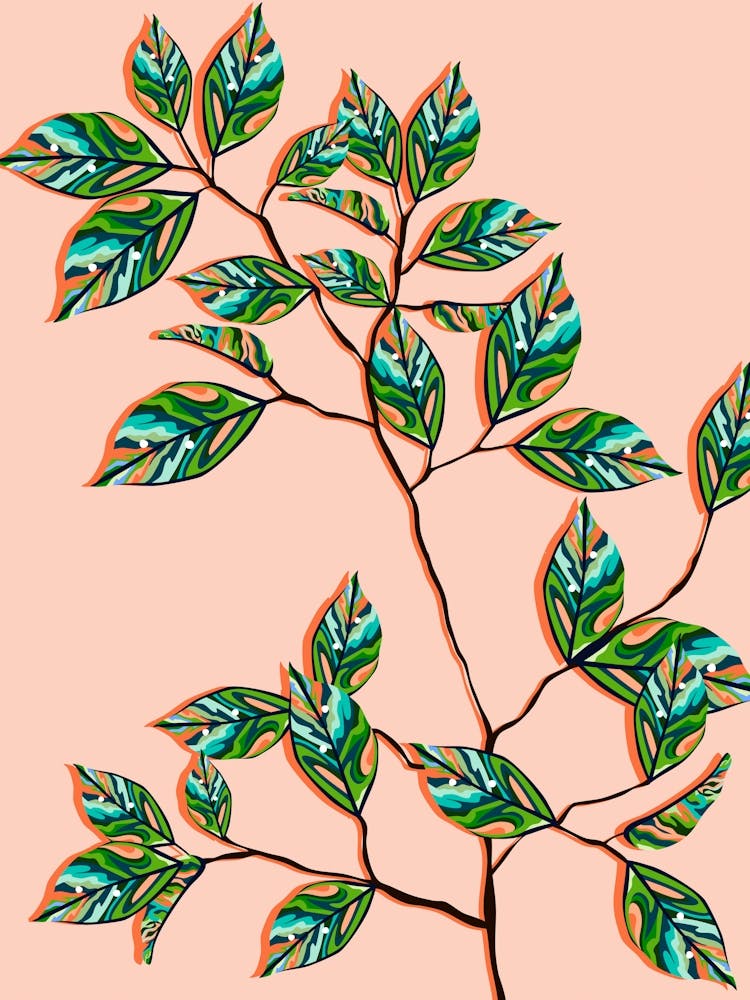 Peach Fuzz Botanical